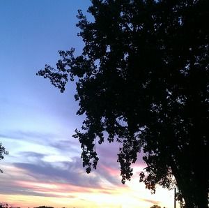 Meet your Posher, Dianne